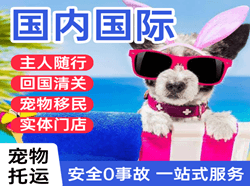 鸡西兴凯湖机场物流国际宠物托运 【国